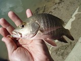 20160722kasubi