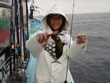 aki-mongara20110417