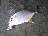 mekki20110513