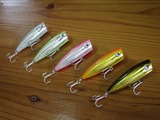 popper70-2