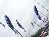 katsuo20110507