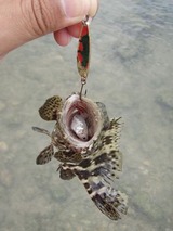 mibai20110521-1