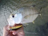 20120205mekki