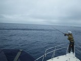 apo20110519