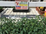 トマト