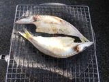 (4)かます