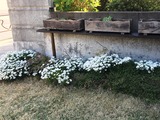 (2)