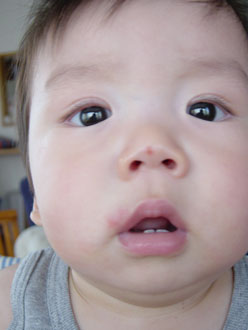 4dc028ef.jpg