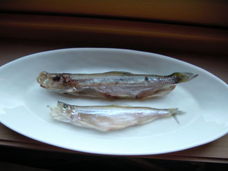 a33c4ef7.jpg