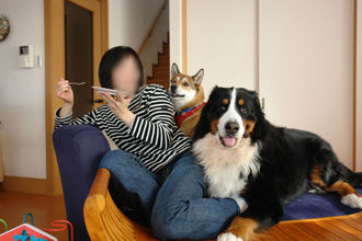 DSC00626a-(13)