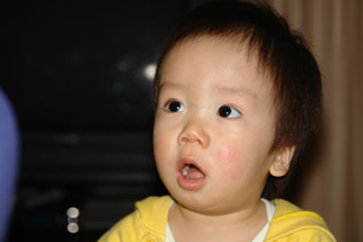 c4aed8b4.jpg