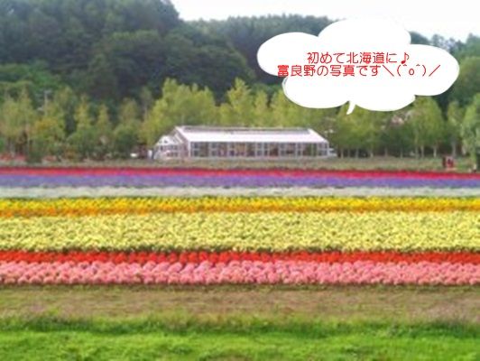 北海道さゆり塾