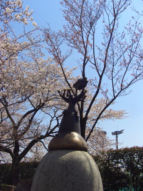 CIMG5454