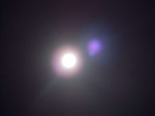 CIMG5054