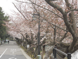 DSCN3776_582
