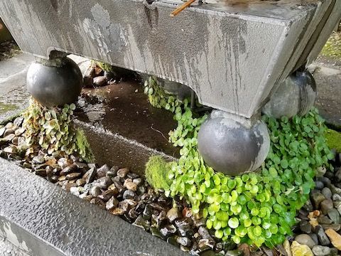 滴る