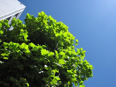 天晴