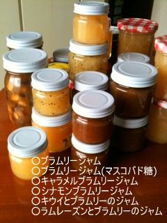 写真 1 (2)