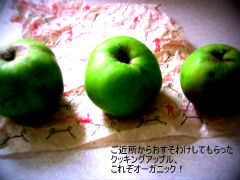 P8310003