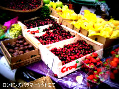 P1010048