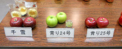 DSCN1815