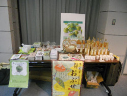 DSCN1823