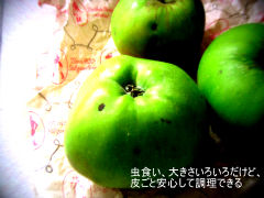 P8310004