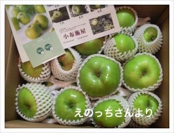 写真 1
