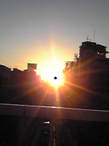 3a66d91a.jpg