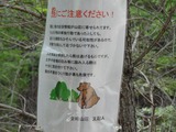 20110813i