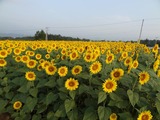 20110813b