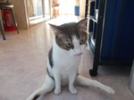 DSCF0045