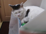 DSCF0307