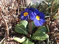 DSCF0173