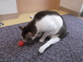 DSCF0302