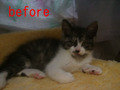 BlogPaint