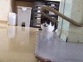 DSCF0031