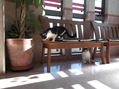 DSCF0063