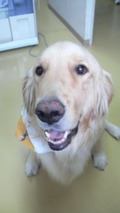 2011072812110000