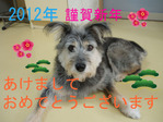BlogPaint