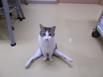 DSCF0290