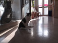 DSCF0206