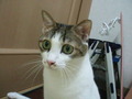 PC192322