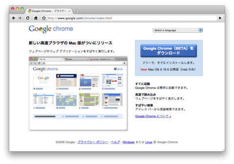 Google Chrome Screen