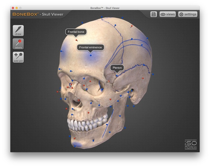 Mac用3D人骨模型アプリ「BoneBox」シリーズ（頭蓋骨、手骨、背骨、足骨、肝臓）が無料セール中。