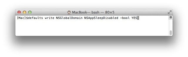 defaults-NSGlobalDomain-NSAppSleepDisabled-Hero
