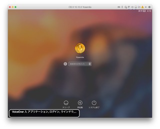 OS-X-Yosemite-Accessibility-Option-3