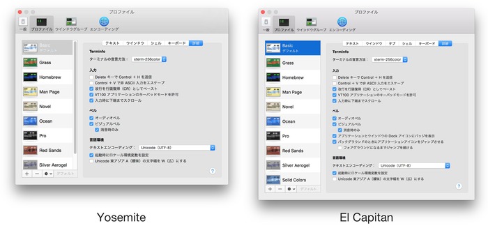 El-Capitan-Terminal-detail-settings