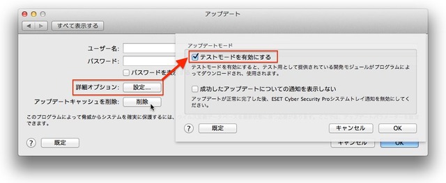 5_詳細オプションから[テストモードを有効にす]をチェック