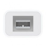 thunderbolt-firewire800